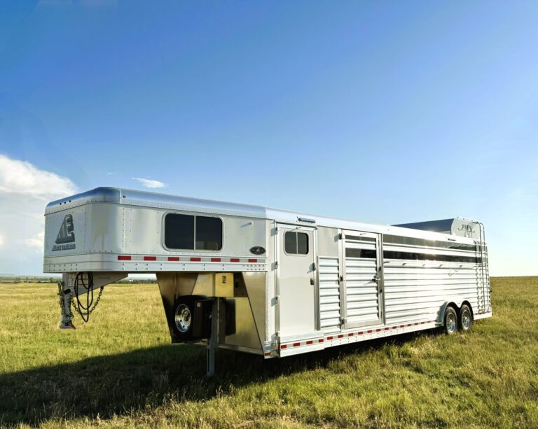 2026 elite show cattle unspecified t0023259 9719 1 768x613
